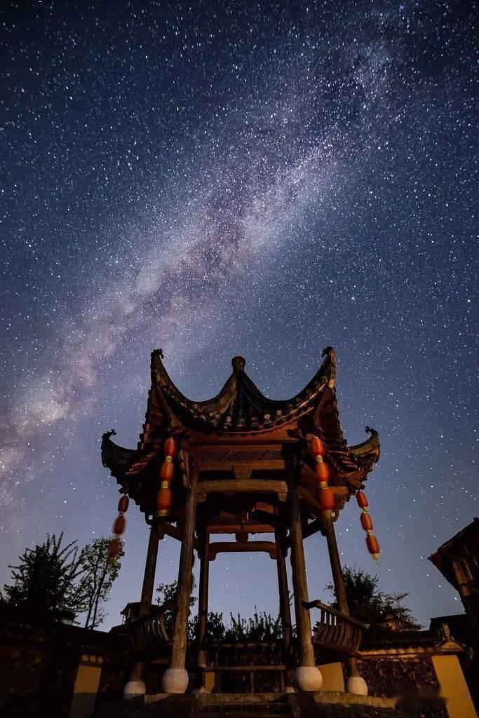 组装机械机甲暴龙2